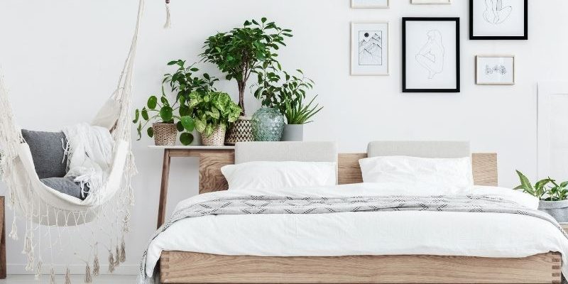 Pflanzen im Schlafzimmer – Früher verpönnt Heute im Trend